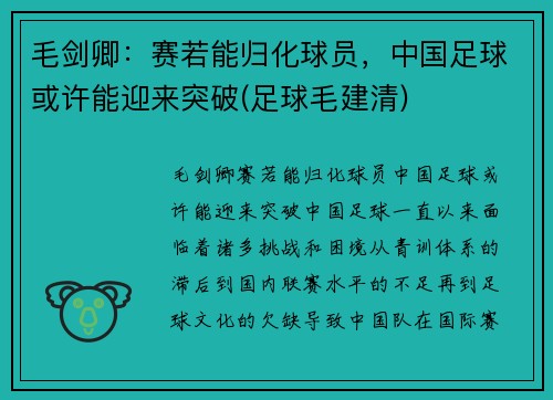 毛剑卿：赛若能归化球员，中国足球或许能迎来突破(足球毛建清)